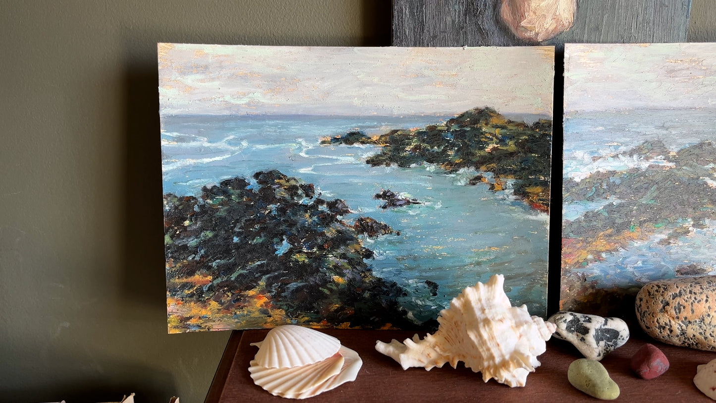 Seascape at Wild Pacific Trail #2
