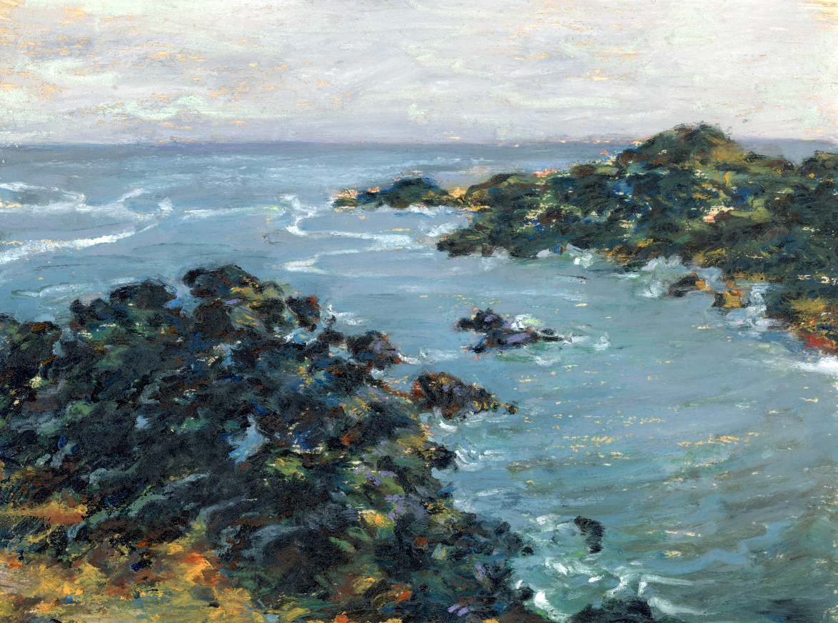 Seascape at Wild Pacific Trail #2