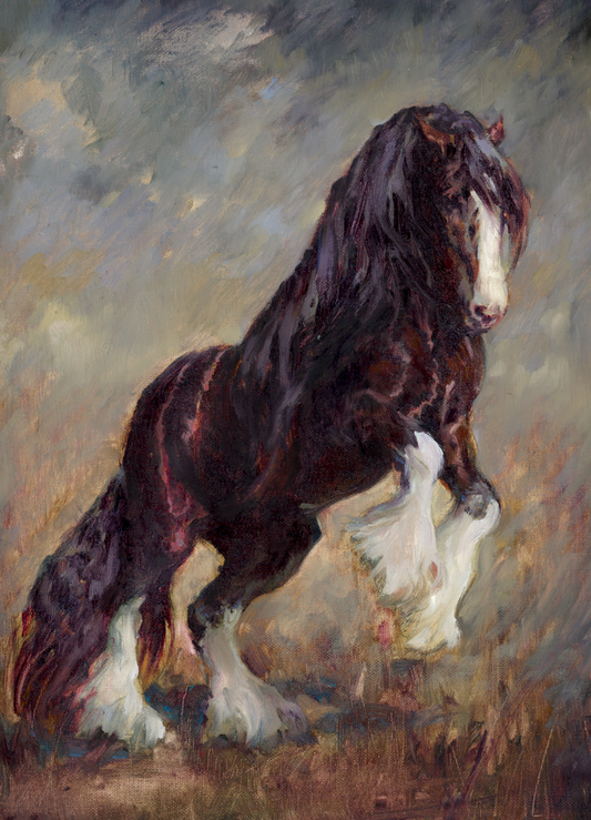 Year of the Horse | Limited Edition