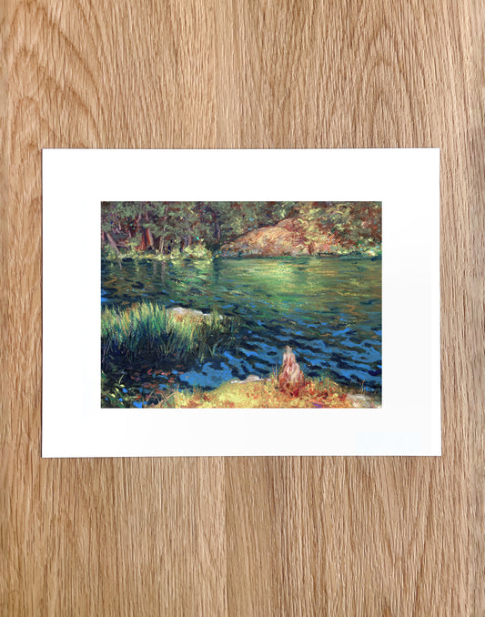 The Reflection at Thetis Lake